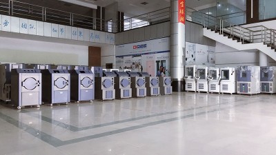 国产精品水蜜桃黄色视频,东莞国产精品水蜜桃黄色视频